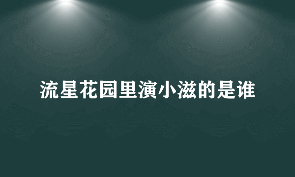 流星花园里演小滋的是谁