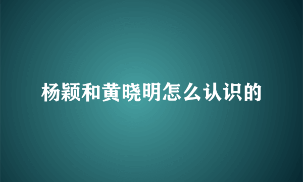 杨颖和黄晓明怎么认识的