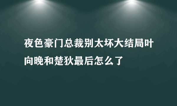 夜色豪门总裁别太坏大结局叶向晚和楚狄最后怎么了