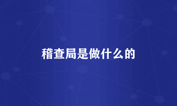 稽查局是做什么的