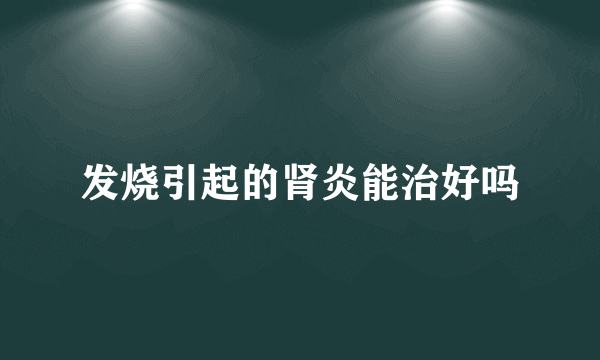 发烧引起的肾炎能治好吗