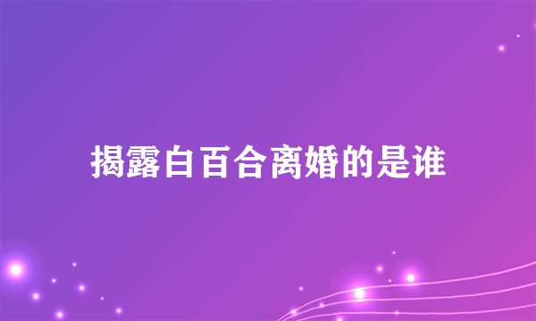 揭露白百合离婚的是谁