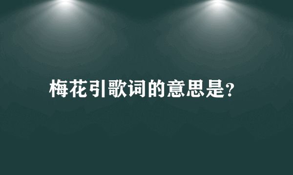 梅花引歌词的意思是？