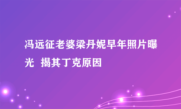 冯远征老婆梁丹妮早年照片曝光  揭其丁克原因