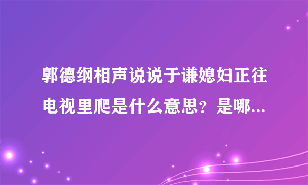 郭德纲相声说说于谦媳妇正往电视里爬是什么意思？是哪个段子？