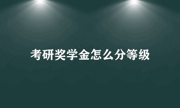 考研奖学金怎么分等级