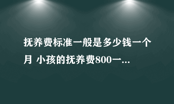 抚养费标准一般是多少钱一个月 小孩的抚养费800一个月多吗