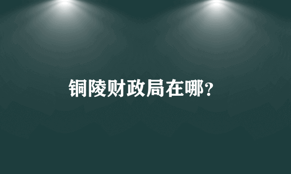 铜陵财政局在哪？