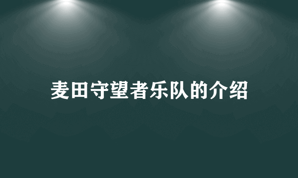 麦田守望者乐队的介绍