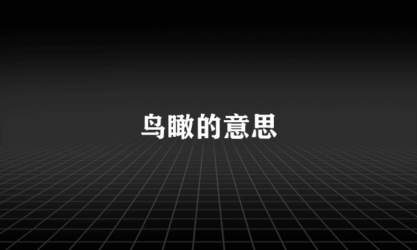 鸟瞰的意思