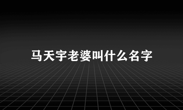 马天宇老婆叫什么名字