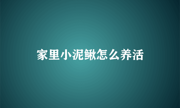 家里小泥鳅怎么养活