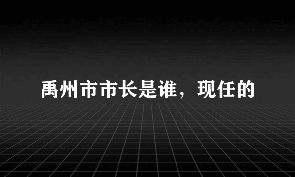 禹州市市长是谁，现任的