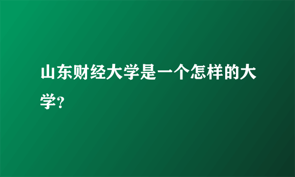 山东财经大学是一个怎样的大学？