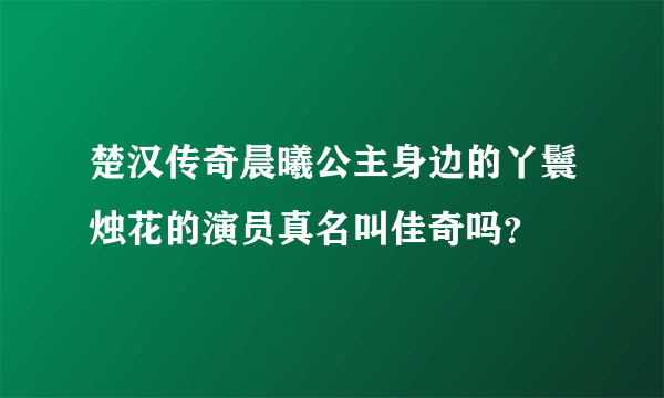 楚汉传奇晨曦公主身边的丫鬟烛花的演员真名叫佳奇吗？