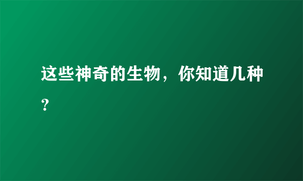 这些神奇的生物，你知道几种？