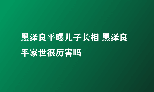 黑泽良平曝儿子长相 黑泽良平家世很厉害吗