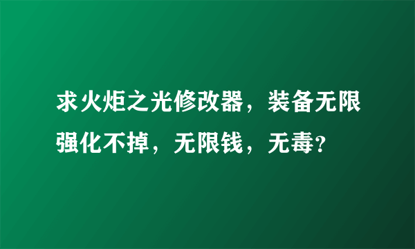 求火炬之光修改器，装备无限强化不掉，无限钱，无毒？