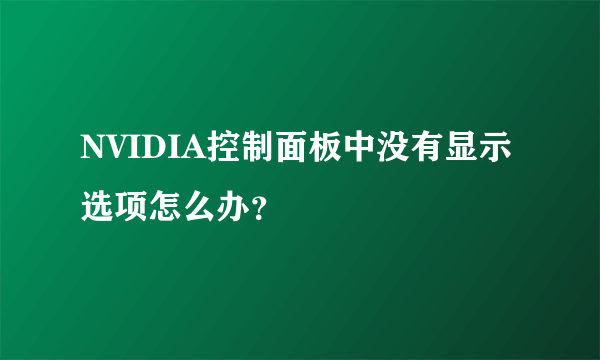 NVIDIA控制面板中没有显示选项怎么办？