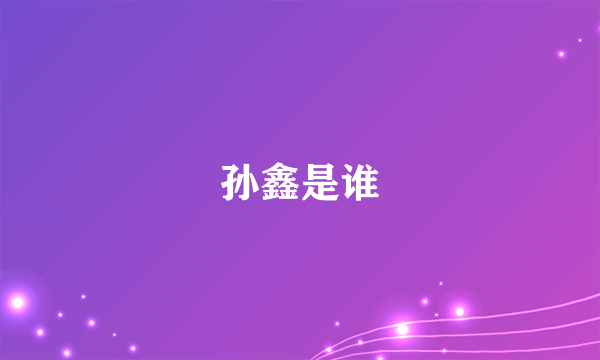 孙鑫是谁