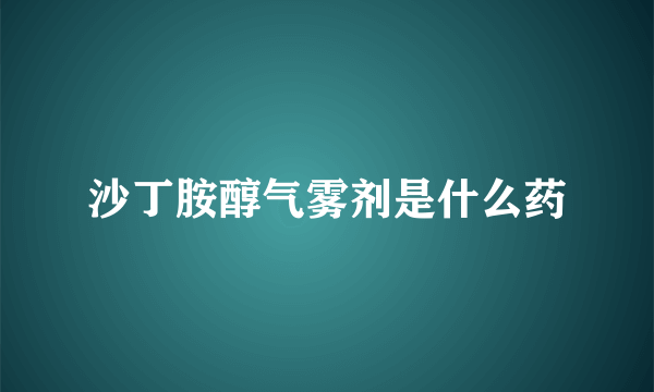 沙丁胺醇气雾剂是什么药