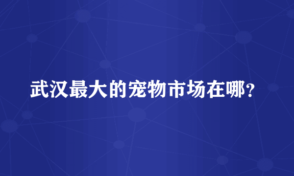 武汉最大的宠物市场在哪？