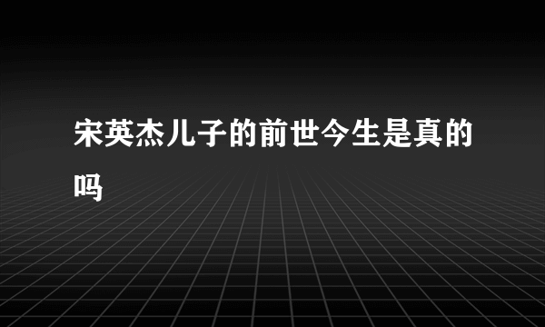 宋英杰儿子的前世今生是真的吗