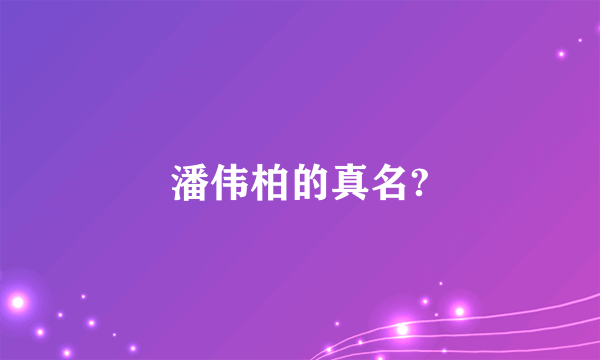 潘伟柏的真名?