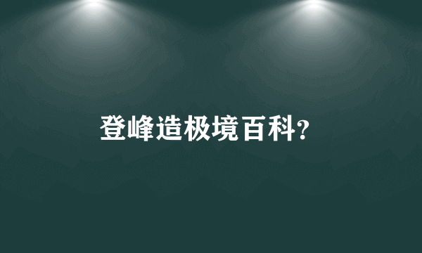 登峰造极境百科？