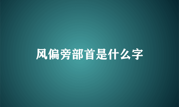 风偏旁部首是什么字