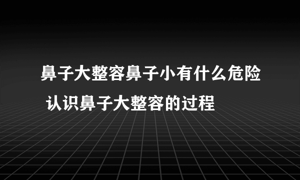 鼻子大整容鼻子小有什么危险 认识鼻子大整容的过程