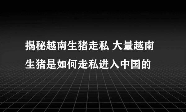 揭秘越南生猪走私 大量越南生猪是如何走私进入中国的