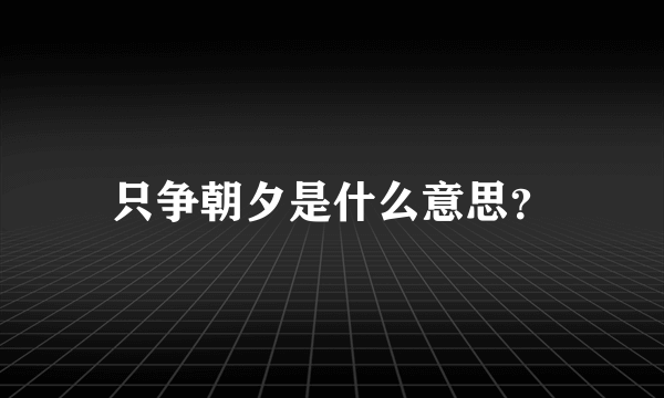 只争朝夕是什么意思？