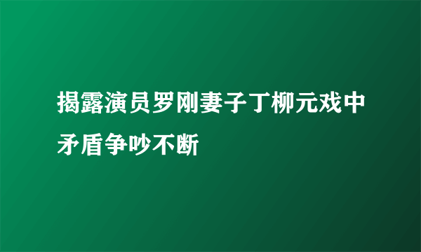 揭露演员罗刚妻子丁柳元戏中矛盾争吵不断