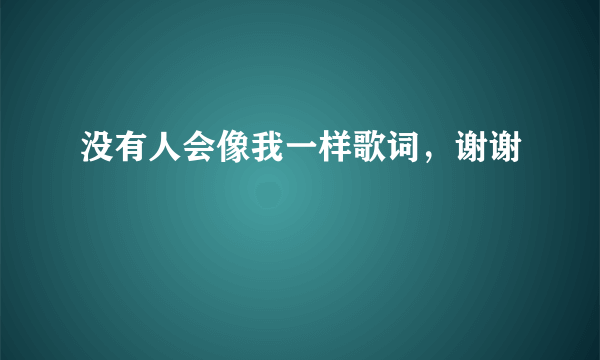 没有人会像我一样歌词，谢谢