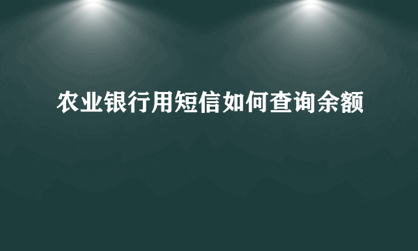 农业银行用短信如何查询余额