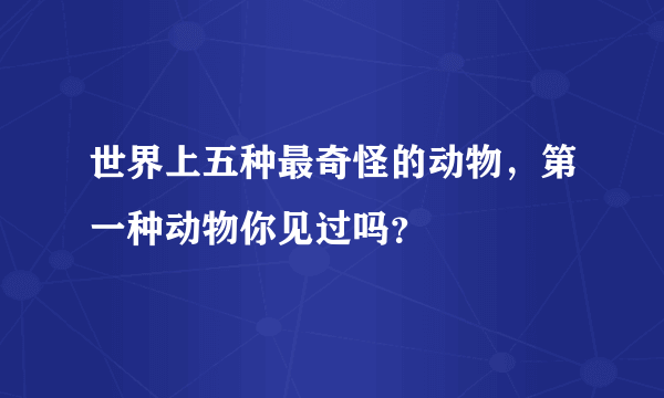 世界上五种最奇怪的动物，第一种动物你见过吗？