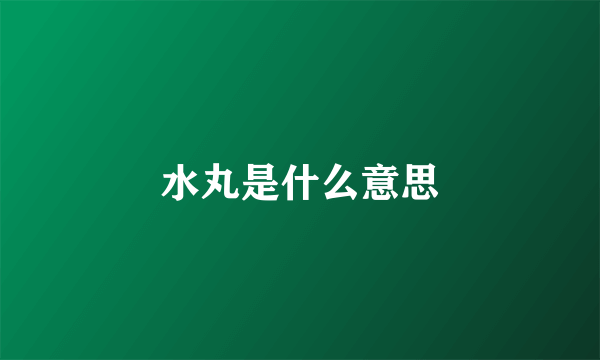 水丸是什么意思