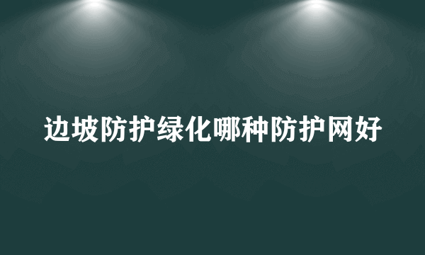 边坡防护绿化哪种防护网好