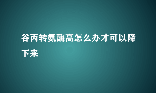 谷丙转氨酶高怎么办才可以降下来