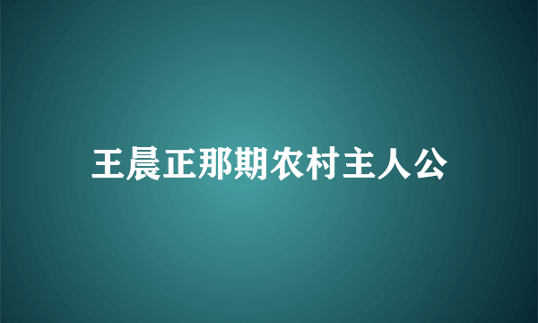 王晨正那期农村主人公