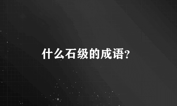 什么石级的成语？