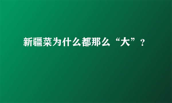 新疆菜为什么都那么“大”？