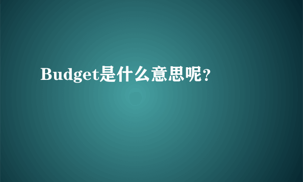 Budget是什么意思呢？