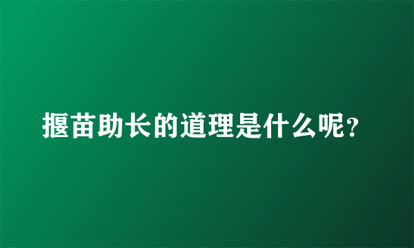 揠苗助长的道理是什么呢？