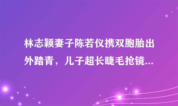 林志颖妻子陈若仪携双胞胎出外踏青，儿子超长睫毛抢镜可爱十足