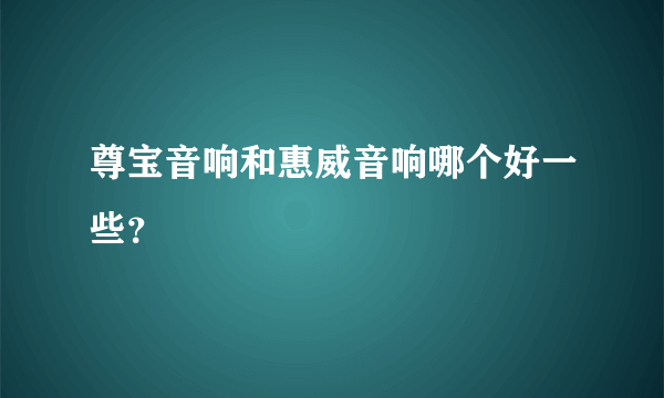 尊宝音响和惠威音响哪个好一些？