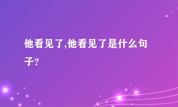 他看见了,他看见了是什么句子？