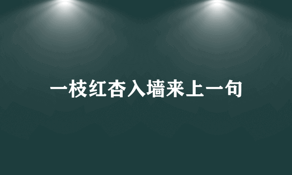 一枝红杏入墙来上一句