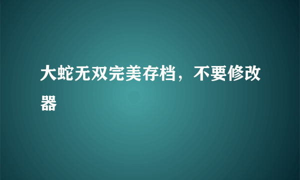 大蛇无双完美存档，不要修改器